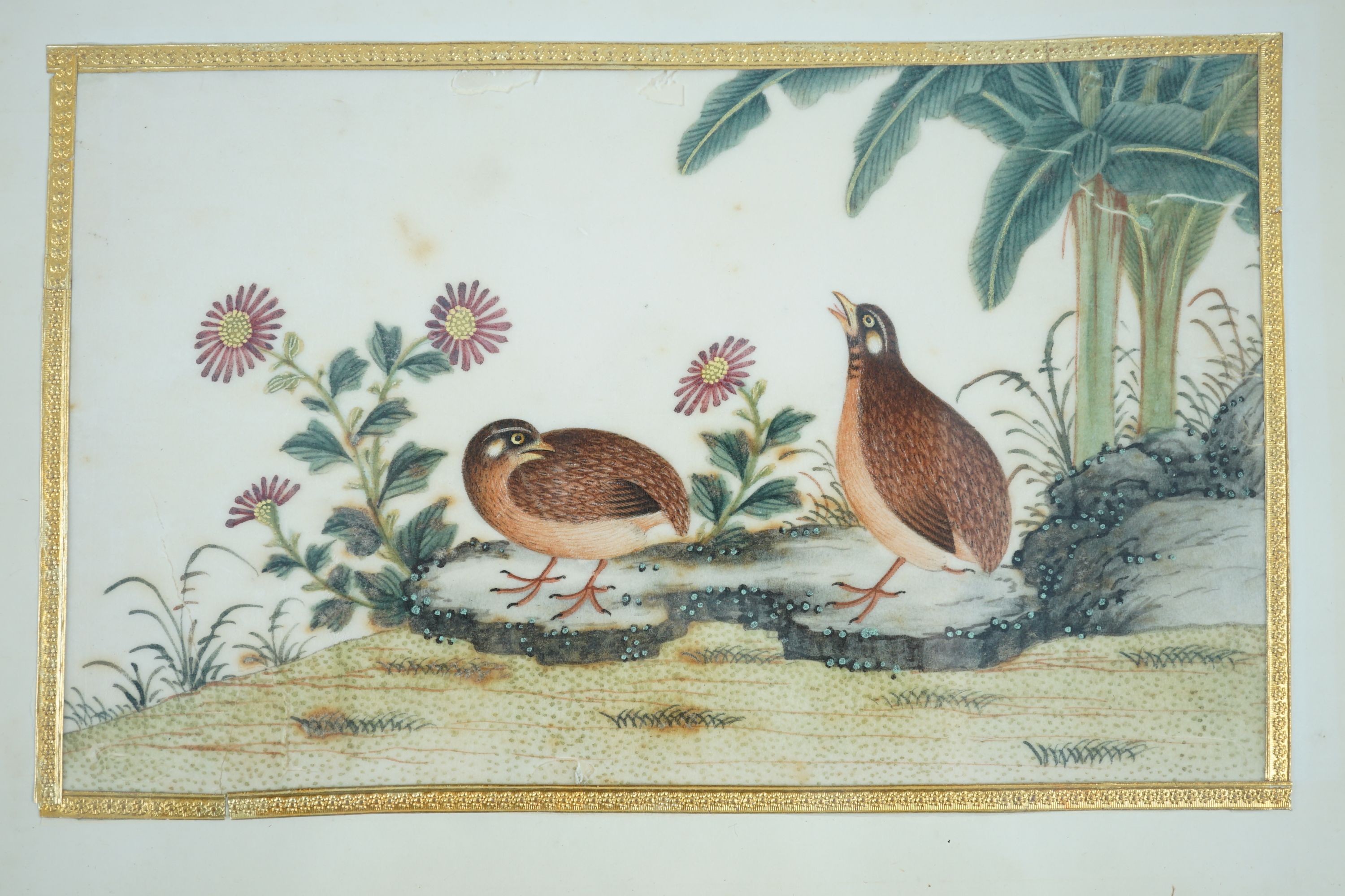 A set of 16 Chinese pith paintings of birds and flowers, mid 19th century, Largest Image 12cm x 18cm